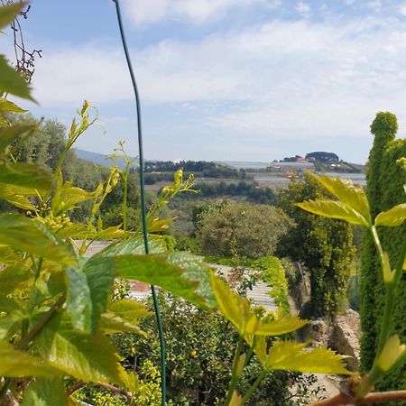 Casa Di Ingrida Bussana Vecchia Villa Sanremo Dış mekan fotoğraf