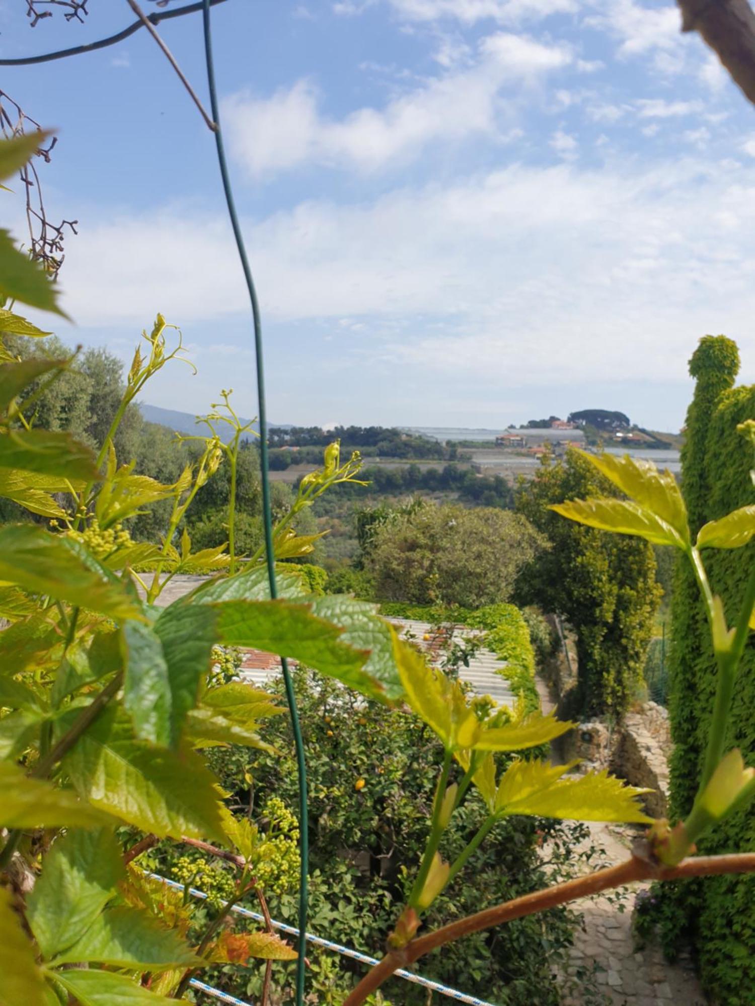 Casa Di Ingrida Bussana Vecchia Villa Sanremo Dış mekan fotoğraf