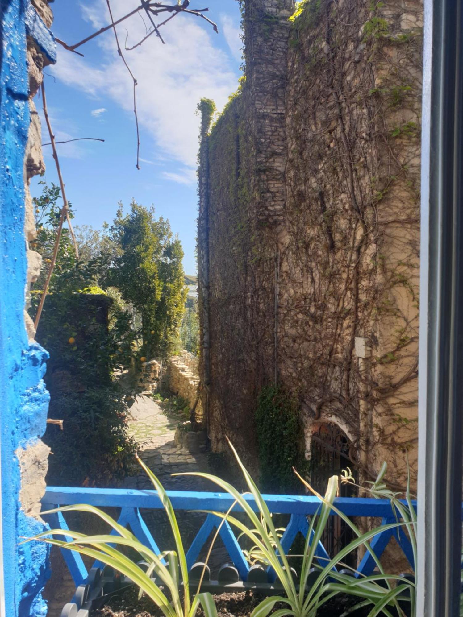 Casa Di Ingrida Bussana Vecchia Villa Sanremo Dış mekan fotoğraf